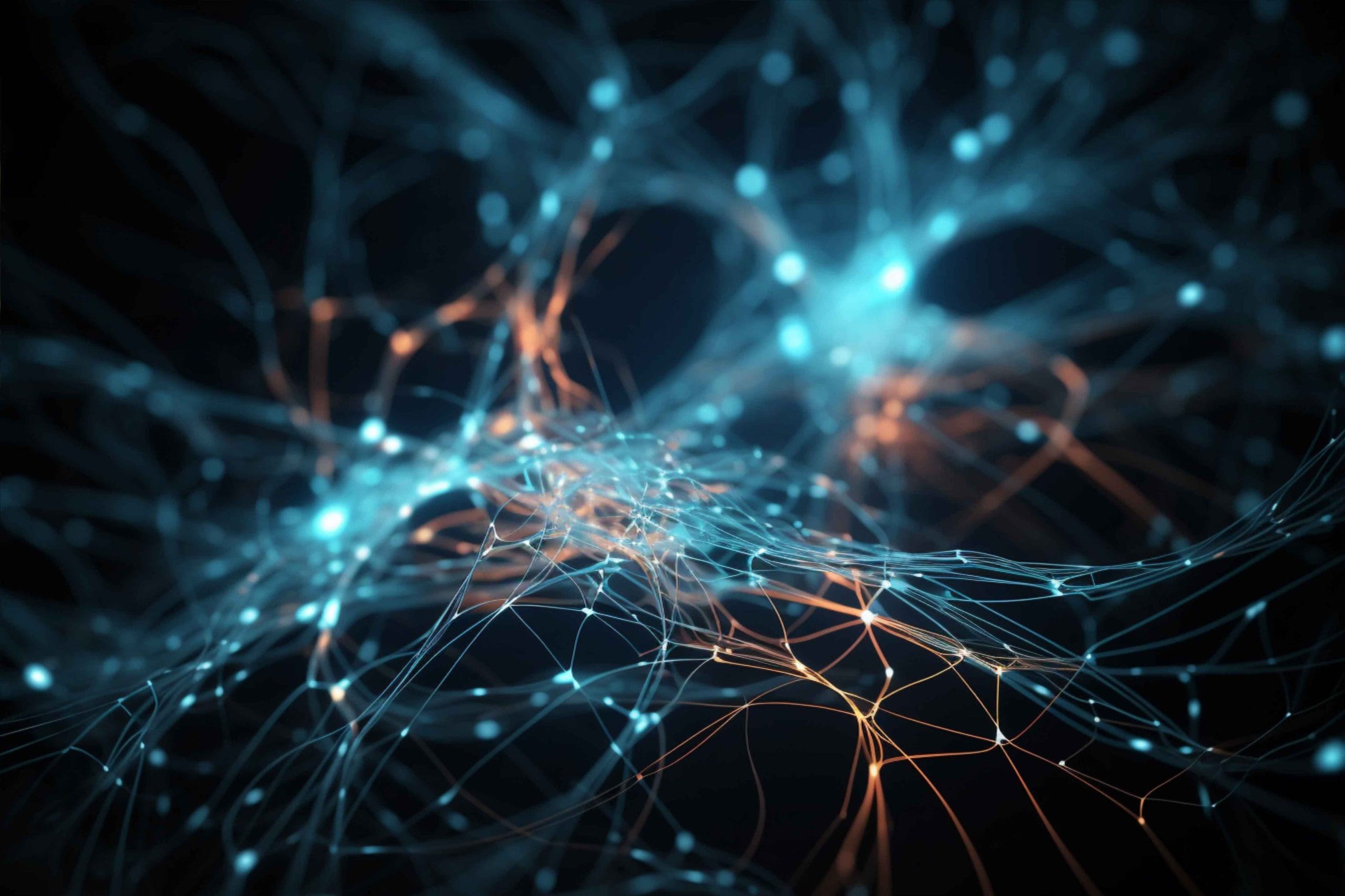 Beta-glucanos de hongos: biológicos y promotores de la salud