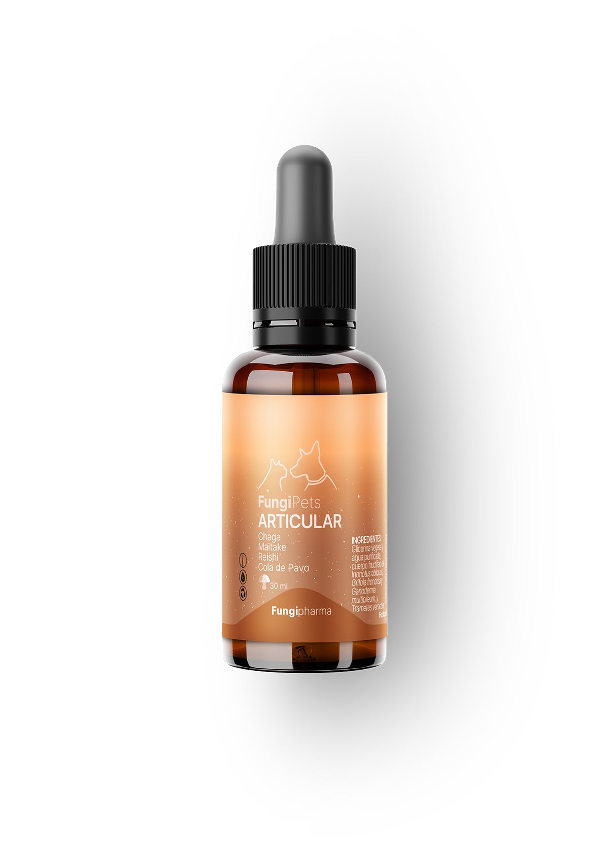 FungiPets Articular