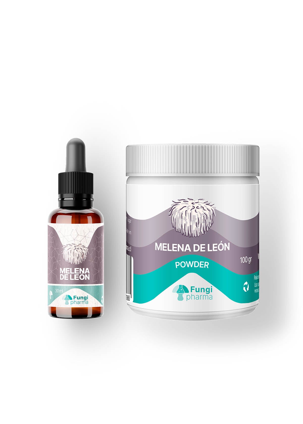 Duo lion's mane