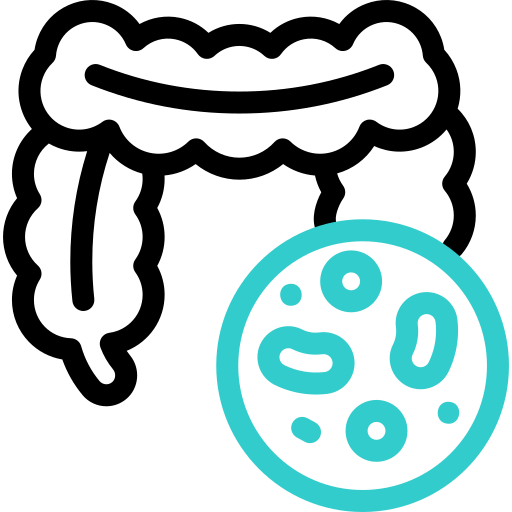 Equilibra la microbiota