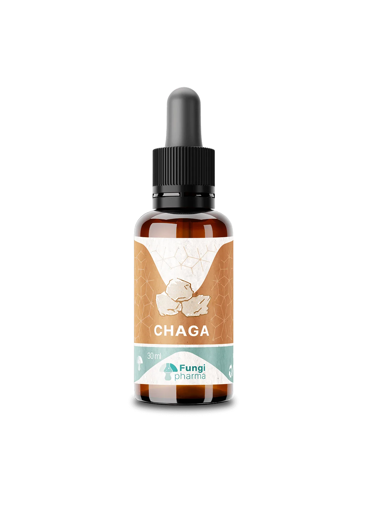 chaga