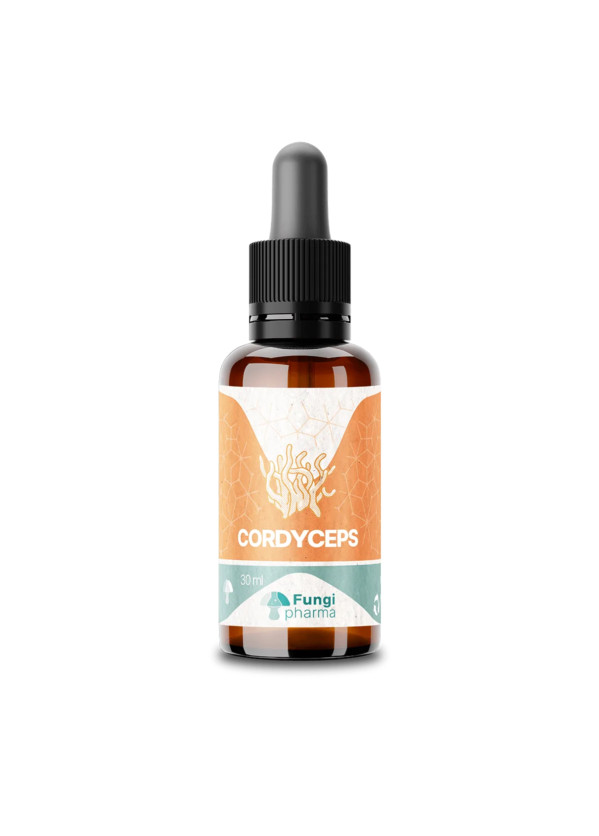 Cordyceps
