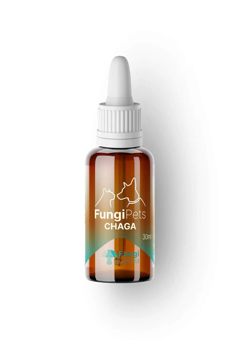 Chaga Pets